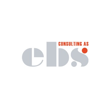 ebs consulting