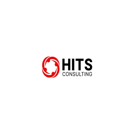 hits consulting