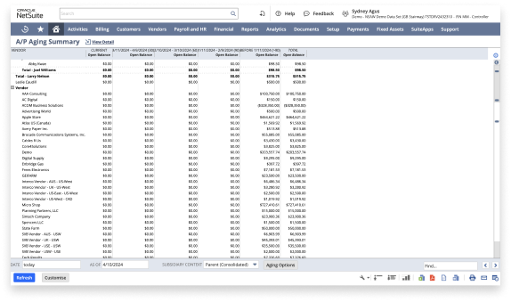 NetSuite sales by customer detail page