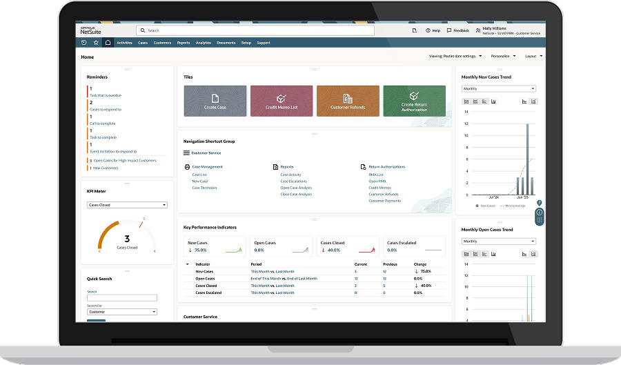 NetSuite cases dashboard