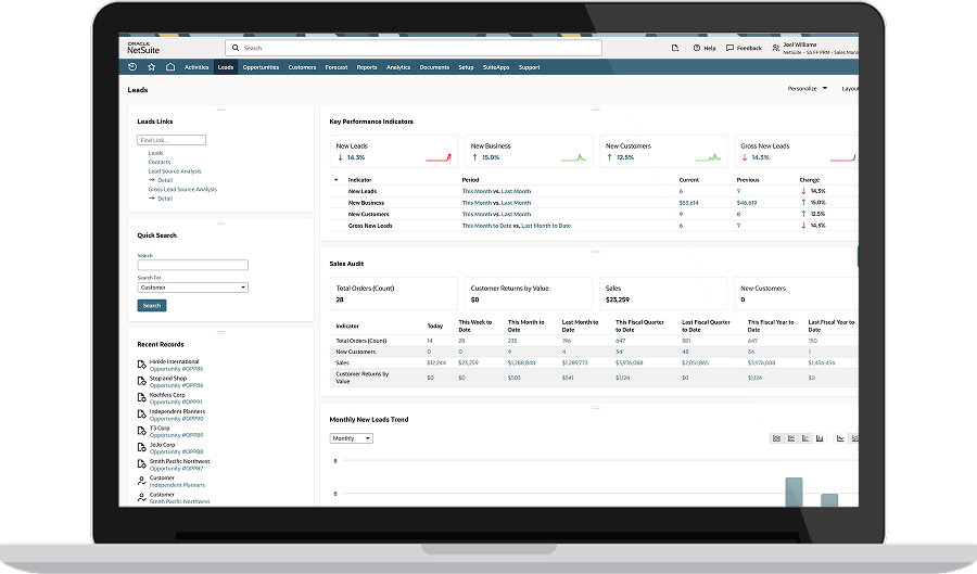 NetSuite leads by lead source results dashboard