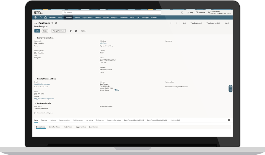 NetSuite Customer Records dashboard