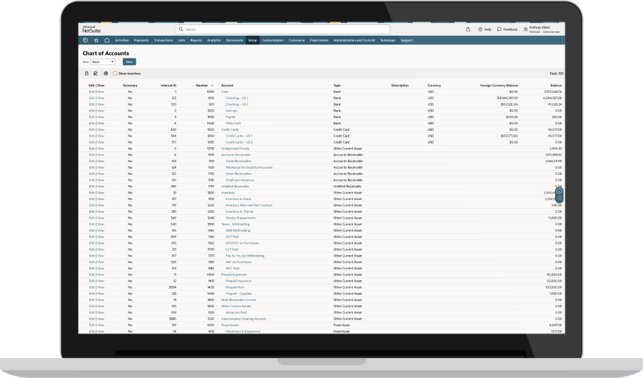 NetSuite Chart of Accounts dashboard