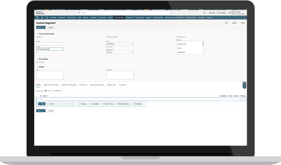 NetSuite segment dashboard
