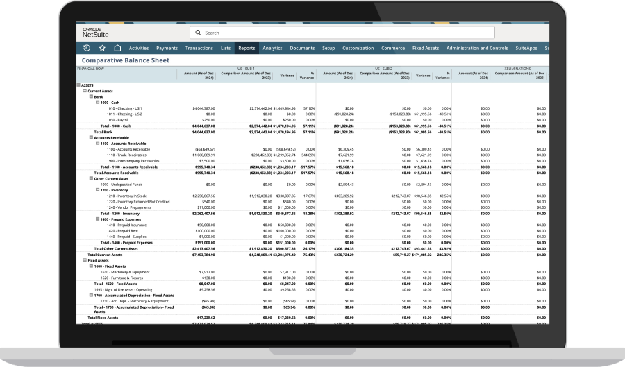 NetSuite Consolidated Financial Statements Dashboard.