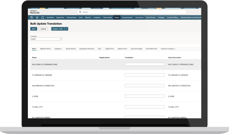 NetSuite Multi-Language Dashboard